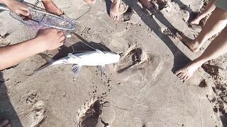 Mesaieed, Sealine Area — берег и свалы: где ловить с берега