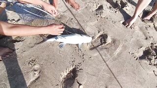 Mesaieed, Sealine Area — берег и свалы: где ловить с берега