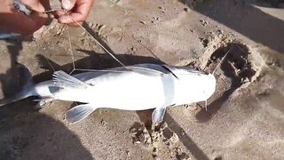 Mesaieed, Sealine Area — берег и свалы: где ловить с берега