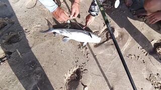 Mesaieed, Sealine Area — берег и свалы: где ловить с берега