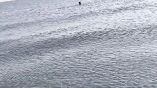 Mesaieed, Sealine Area — берег и свалы: где ловить с берега