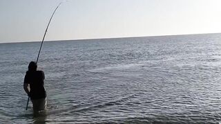 Mesaieed, Sealine Area — берег и свалы: где ловить с берега