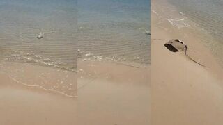 Sealine, Qatar 20.04.2018 — где прошла рыбалка удачно