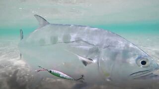 Sealine, Qatar — хороший бой рыбы: снасти и место по ветру