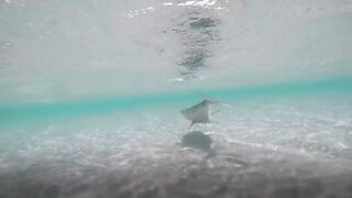 Sealine, Qatar — хороший бой рыбы: снасти и место по ветру