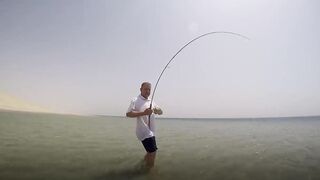 Sealine, Qatar — хороший бой рыбы: снасти и место по ветру