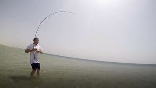 Sealine, Qatar — хороший бой рыбы: снасти и место по ветру