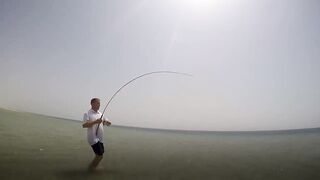 Sealine, Qatar — хороший бой рыбы: снасти и место по ветру