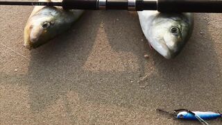 Sealine, Qatar — shore jig: orange spot trevally на Duo Metal Jig