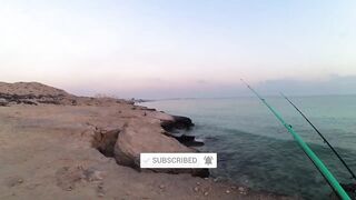 Fuwairit, Qatar - клюнул шихам: береговой выезд и снасти