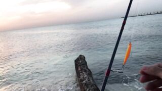 Fuwairit Beach, Doha - купание и рыбалка: где безопасно кидать