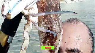 Fuwairit, Qatar - береговая рыбалка на рассвете: EP.06