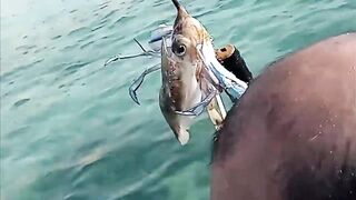 Fuwairit, Qatar - береговая рыбалка на рассвете: EP.06