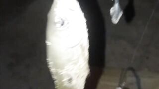 Fuwairit, Qatar - береговая рыбалка на рассвете: EP.06