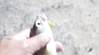 Fuwairit, Qatar - береговая рыбалка на рассвете: EP.06