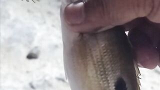 Fuwairit, Qatar - береговая рыбалка на рассвете: EP.06