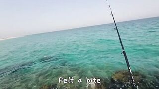 Dukhan Beach SOLO: рыбалка в одиночку, что взять с собой