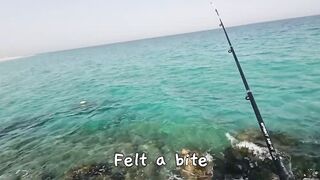 Dukhan Beach SOLO: рыбалка в одиночку, что взять с собой