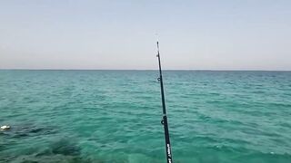 Dukhan Beach SOLO: рыбалка в одиночку, что взять с собой