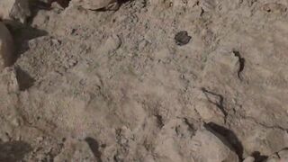 Dukhan Beach SOLO: рыбалка в одиночку, что взять с собой