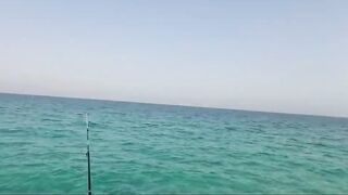 Dukhan Beach SOLO: рыбалка в одиночку, что взять с собой