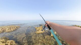 Qatar, Dukhan Beach - рыбалка 08.04.2022: отчёт и снасти