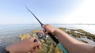 Qatar, Dukhan Beach - рыбалка 08.04.2022: отчёт и снасти