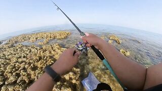 Qatar, Dukhan Beach - рыбалка 08.04.2022: отчёт и снасти