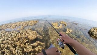 Qatar, Dukhan Beach - рыбалка 08.04.2022: отчёт и снасти