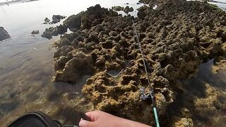 Qatar, Dukhan Beach - рыбалка 08.04.2022: отчёт и снасти