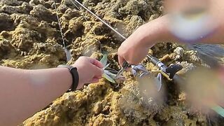 Qatar, Dukhan Beach - рыбалка 08.04.2022: отчёт и снасти