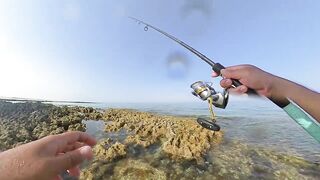 Qatar, Dukhan Beach - рыбалка 08.04.2022: отчёт и снасти