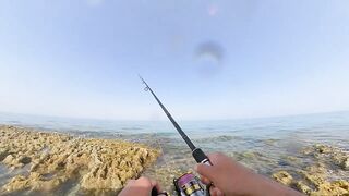 Qatar, Dukhan Beach - рыбалка 08.04.2022: отчёт и снасти