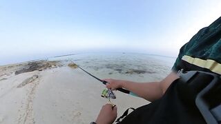 Qatar, Dukhan Beach - рыбалка 08.04.2022: отчёт и снасти