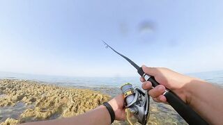 Qatar, Dukhan Beach - рыбалка 08.04.2022: отчёт и снасти