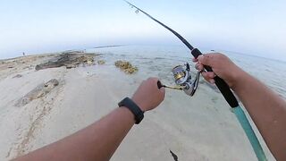 Qatar, Dukhan Beach - рыбалка 08.04.2022: отчёт и снасти