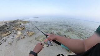 Qatar, Dukhan Beach - рыбалка 08.04.2022: отчёт и снасти