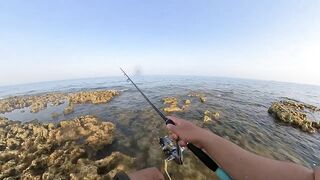 Qatar, Dukhan Beach - рыбалка 08.04.2022: отчёт и снасти