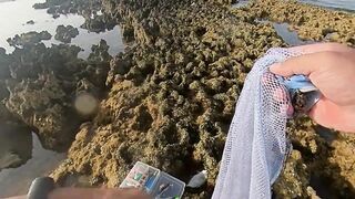 Qatar, Dukhan Beach - рыбалка 08.04.2022: отчёт и снасти