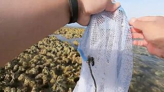 Qatar, Dukhan Beach - рыбалка 08.04.2022: отчёт и снасти