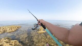 Qatar, Dukhan Beach - рыбалка 08.04.2022: отчёт и снасти