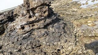 Zekreet, Qatar — вторая часть: что брало на рассвете