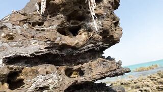 Zekreet, Qatar — вторая часть: что брало на рассвете