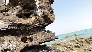Zekreet, Qatar — вторая часть: что брало на рассвете