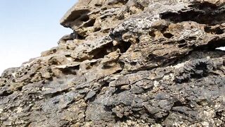 Zekreet, Qatar — вторая часть: что брало на рассвете