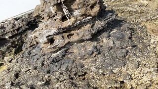 Zekreet, Qatar — вторая часть: что брало на рассвете