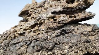 Zekreet, Qatar — вторая часть: что брало на рассвете