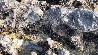 Zekreet, Qatar — первый выезд: где встать у волнореза