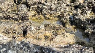 Zekreet, Qatar — первый выезд: где встать у волнореза