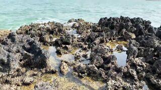 Zekreet, Qatar — первый выезд: где встать у волнореза